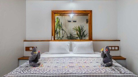 dlagoon-gardenview-03