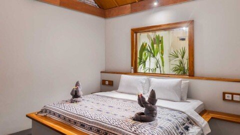 dlagoon-gardenview-04 Owner and Team | D'Lagoon Dive Resort