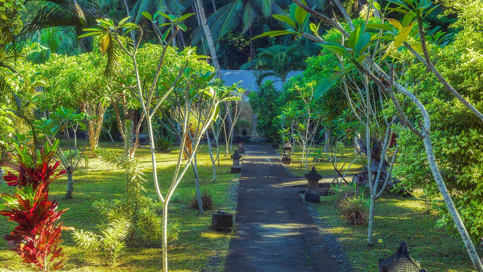 dlagoon-lembeh-garden